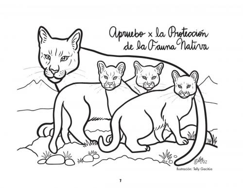 LibrodeBocetosN°2NuevaConstitucion page-0007